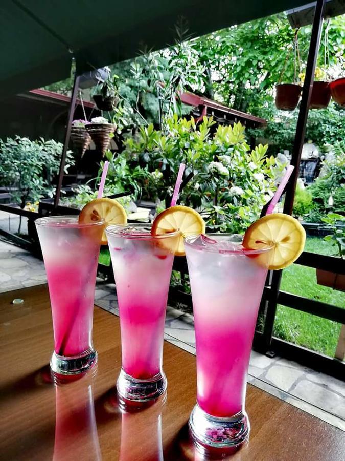 Gala-Garden Hotel Bitola Exterior foto